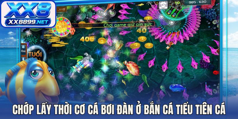 Kỹ thuật chớp lấy thời cơ cá bơi đàn ở bắn cá tiểu tiên cá