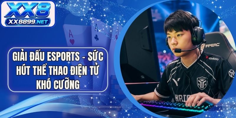Giải Đấu Esports - Sức Hút Thể Thao Điện Tử Khó Cưỡng