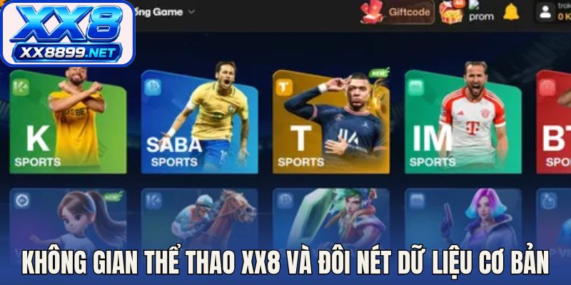 Không gian thể thao XX8 và đôi nét dữ liệu cơ bản